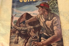 20260109_211513107_iOS